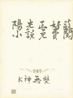 阳光正好苏玥玥小说免费阅读无弹窗