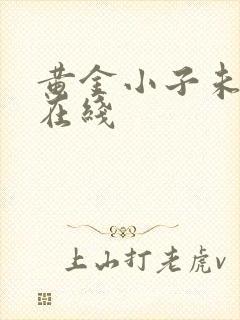 黄金小子未删减在线