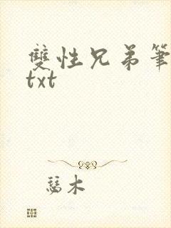 双性兄弟笔趣阁txt
