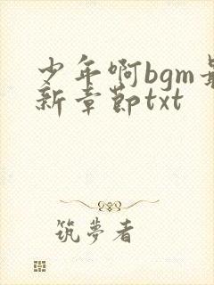少年啊bgm最新章节txt