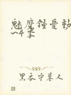 魅魔钟爱动漫1~4季