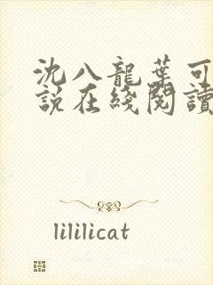 沈八龙叶可怡小说在线阅读
