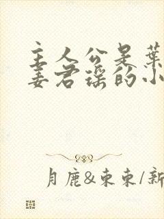 主人公是叶楚和姜君瑶的小说