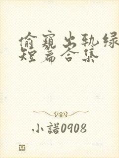 偷窥出轨绿帽癖短篇合集封面