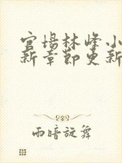 官场林峰小说最新章节更新内容介绍