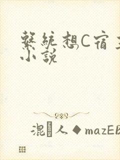 系统想C宿主的小说