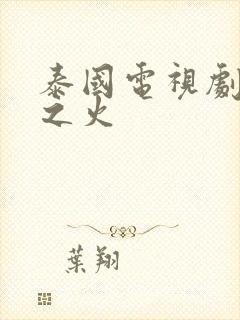 泰国电视剧爱恨之火