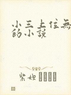 小三上位无三观的小说