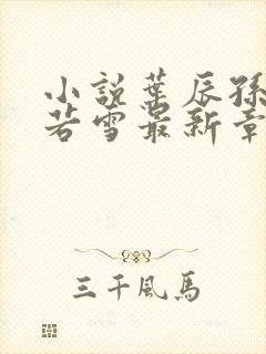 小说叶辰孙怡夏若雪最新章节阅读