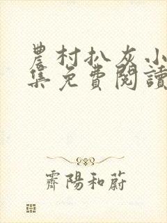 农村扒灰小说全集免费阅读封面