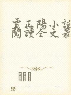 贾正阳小说免费阅读全文最新章节封面