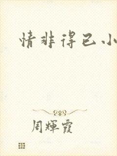 情非得已小说封面