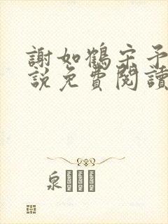 谢如鹤宋予朵小说免费阅读最新章节