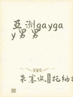 亚洲gaygay男男
