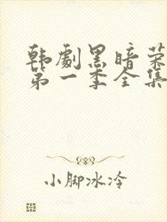 韩剧黑暗荣耀 第一季全集免费观看