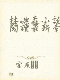 林屿森小说免费阅读最新章节