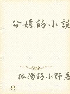公媳的小说