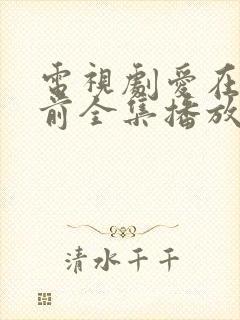 电视剧爱在日落前全集播放封面