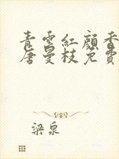 青云红颜香陈言唐曼枝免费阅读笔趣阁