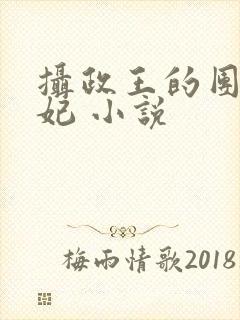 摄政王的团宠医妃 小说