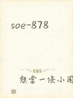 soe-878