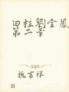田柱刘金凤小说第二章封面