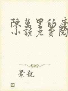 陈万里的唐嫣然小说免费阅读