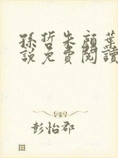 孙哲朱颜叶巧小说免费阅读笔趣阁