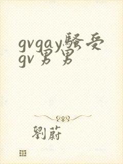 gvgay骚受gv男男