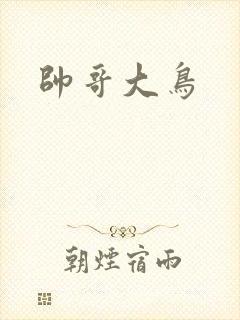 帅哥大鸟