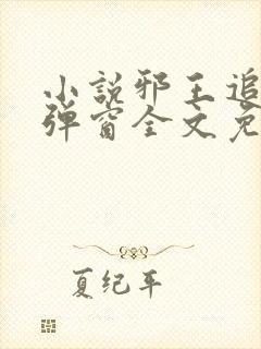 小说邪王追妻无弹窗全文免费阅读