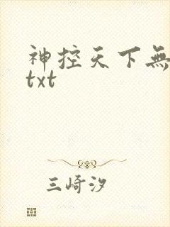 神控天下无删减txt封面