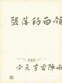 堕落的白领封面