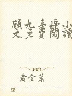 顾九秦峥小说全文免费阅读