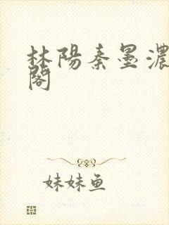 林阳秦墨浓笔趣阁封面