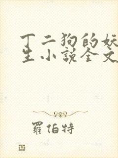 丁二狗的妖孽人生小说全文免费笔趣阁封面