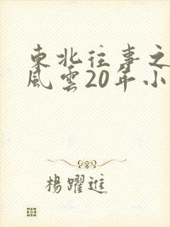 东北往事之黑道风云20年小说