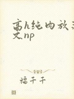 高h纯肉放荡h文np