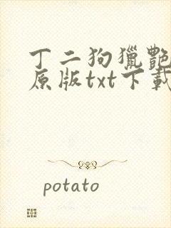 丁二狗猎艳人生原版txt下载