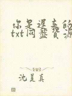 你是迟来的欢喜txt网盘资源封面