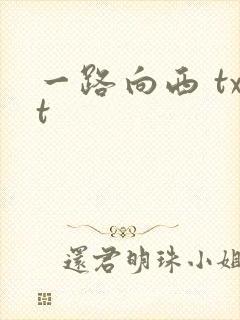 一路向西 txt封面