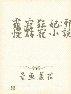 霸宠狂妃:邪王慢点宠小说