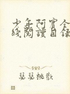 少年阿宾全文在线阅读目录