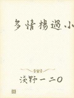 多情杨过小说封面