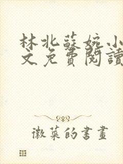 林北苏婉小说全文免费阅读封面
