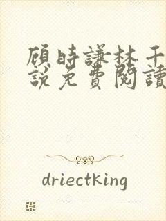 顾时谦林千月小说免费阅读最新章节