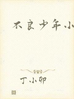 不良少年小说