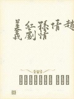 美红孙倩赵敏高义剧情