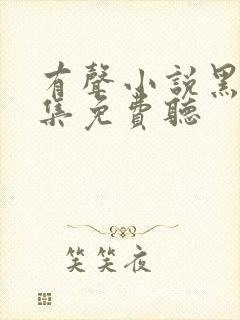 有声小说黑锅全集免费听