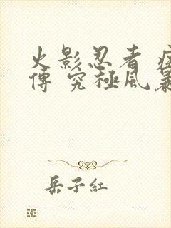 火影忍者 疾风传 究极风暴2下载